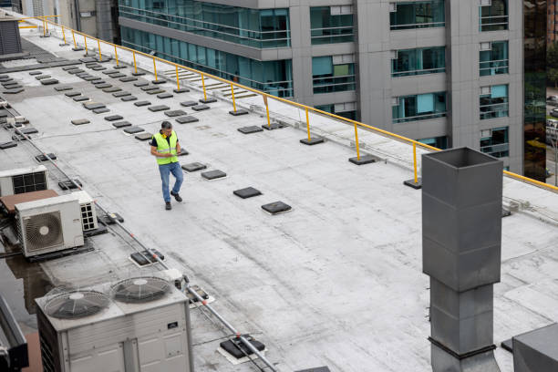 Best Gutter Installation and Repair  in Lamont, MI