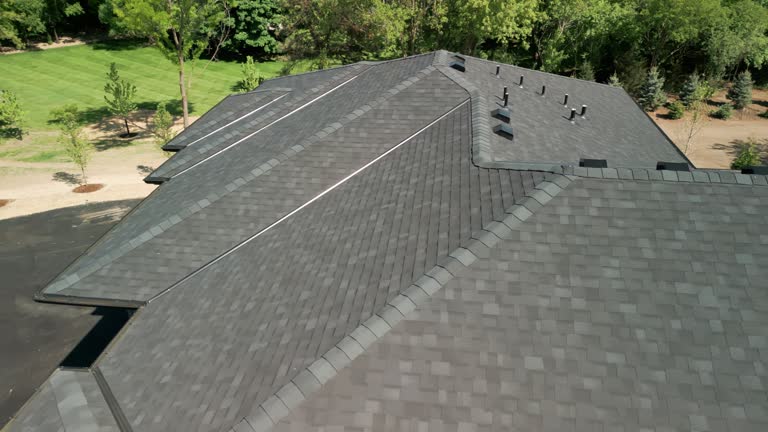 Best Asphalt Shingles Roofing  in Lamont, MI