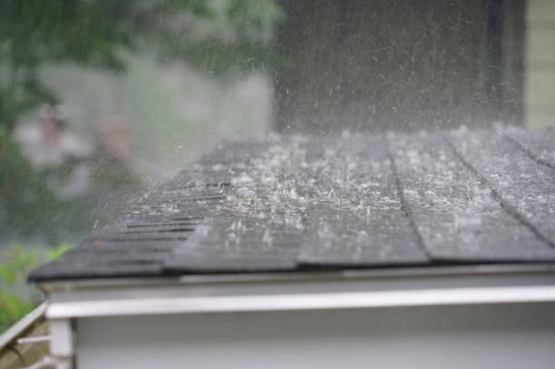 Best Hot Roofs  in Lamont, MI