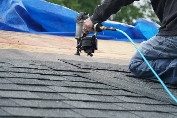Best Roof Leak Repair  in Lamont, MI