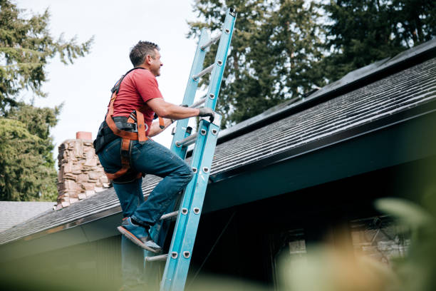 Best Storm Damage Roof Repair  in Lamont, MI