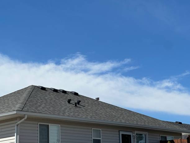 Best Roofing for New Construction  in Lamont, MI